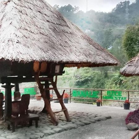 Rice Homestay Banaue Luaran gambar