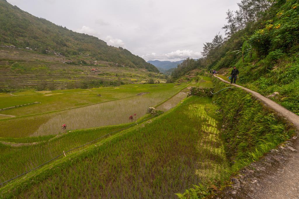 Rice Homestay Banaue Luaran gambar